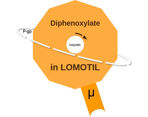 Diphenoxylate ballicule — decagon diagram of its receptor and enzyme targets