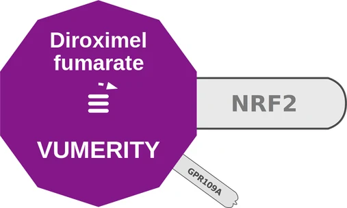 Diroximel fumarate ballicule — decagon diagram of its receptor and enzyme targets