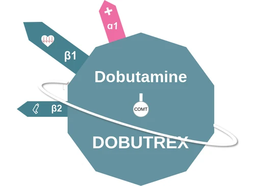 Dobutamine ballicule — decagon diagram of its receptor and enzyme targets