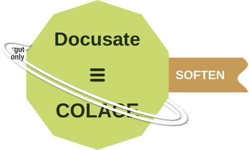 Docusate ballicule — decagon diagram of its receptor and enzyme targets
