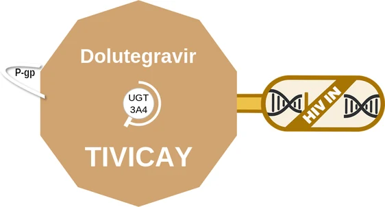 Dolutegravir ballicule — decagon diagram of its receptor and enzyme targets