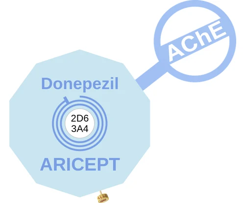 Donepezil ballicule — decagon diagram of its receptor and enzyme targets
