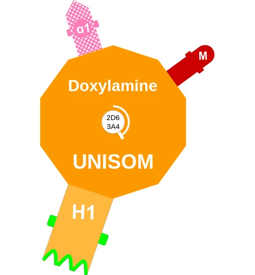 Doxylamine ballicule — decagon diagram of its receptor and enzyme targets