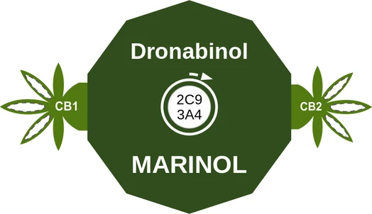 Dronabinol ballicule — decagon diagram of its receptor and enzyme targets