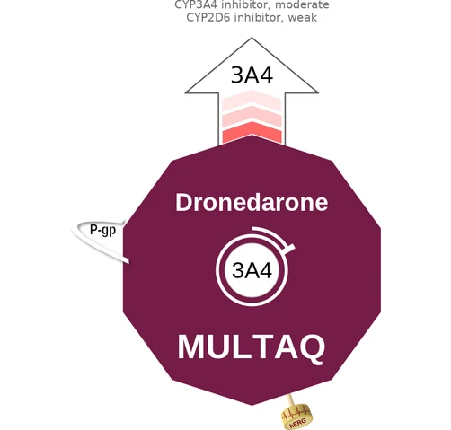 Dronedarone ballicule — decagon diagram of its receptor and enzyme targets