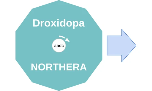 Droxidopa ballicule — decagon diagram of its receptor and enzyme targets