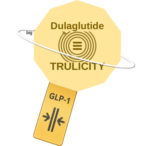 Dulaglutide ballicule — decagon diagram of its receptor and enzyme targets