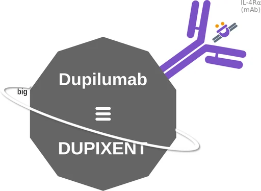 Dupilumab ballicule — decagon diagram of its receptor and enzyme targets