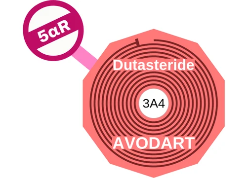Dutasteride ballicule — decagon diagram of its receptor and enzyme targets