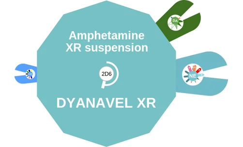 Amphetamine XR suspension ballicule — decagon diagram of its receptor and enzyme targets