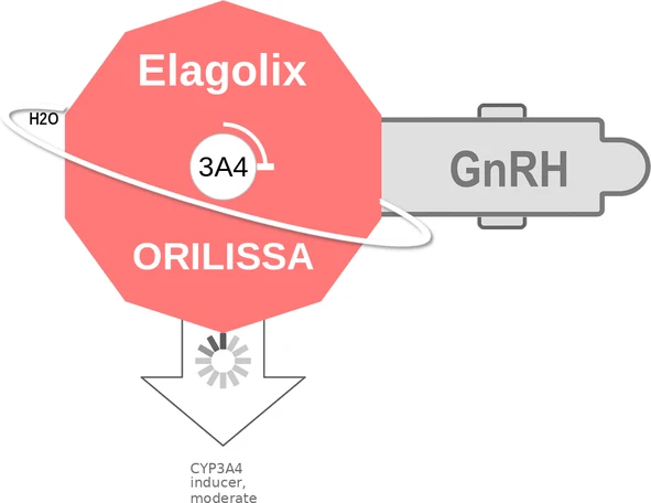Elagolix ballicule — decagon diagram of its receptor and enzyme targets