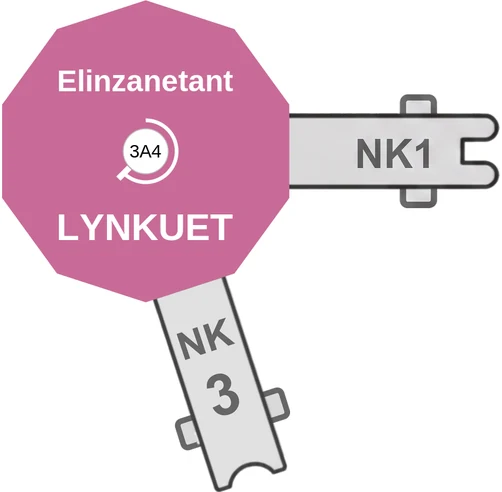 Elinzanetant ballicule — decagon diagram of its receptor and enzyme targets