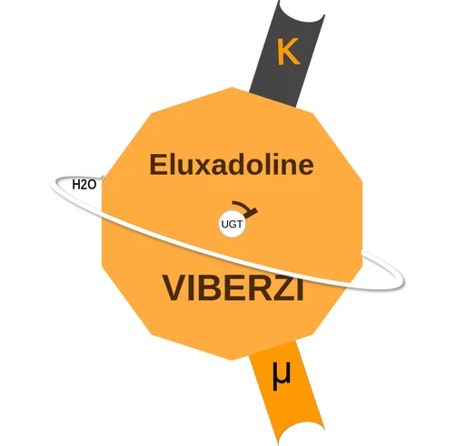 Eluxadoline ballicule — decagon diagram of its receptor and enzyme targets