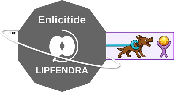 Enlicitide ballicule — decagon diagram of its receptor and enzyme targets