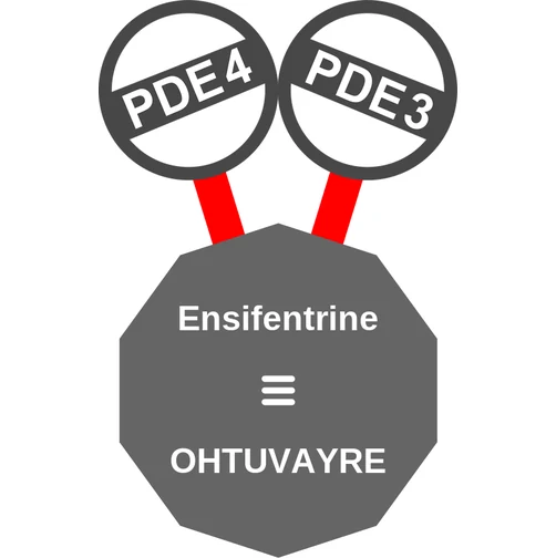 Ensifentrine ballicule — decagon diagram of its receptor and enzyme targets