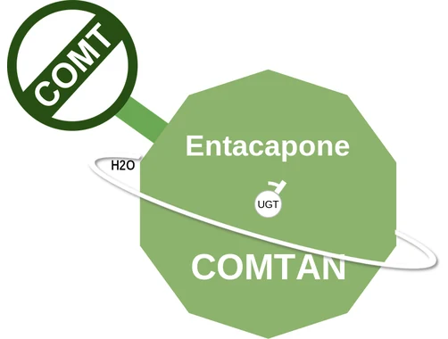 Entacapone ballicule — decagon diagram of its receptor and enzyme targets