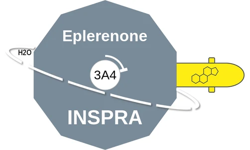 Eplerenone ballicule — decagon diagram of its receptor and enzyme targets