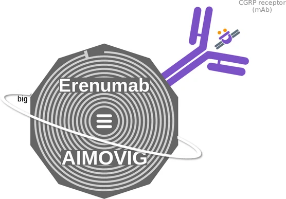 Erenumab ballicule — decagon diagram of its receptor and enzyme targets