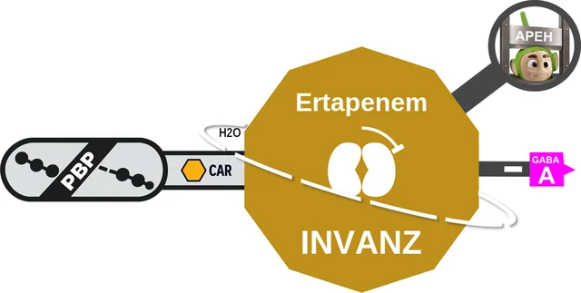Ertapenem ballicule — decagon diagram of its receptor and enzyme targets