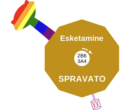 Esketamine ballicule — decagon diagram of its receptor and enzyme targets
