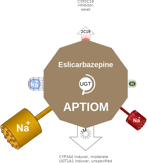 Eslicarbazepine ballicule — decagon diagram of its receptor and enzyme targets