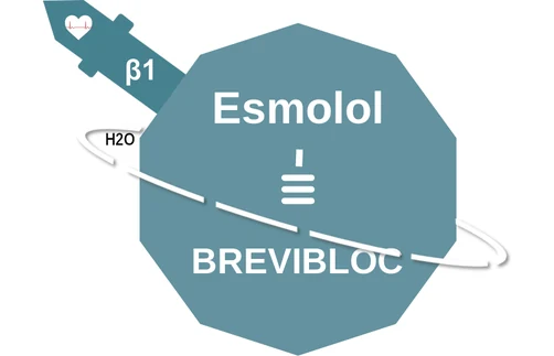 Esmolol ballicule — decagon diagram of its receptor and enzyme targets