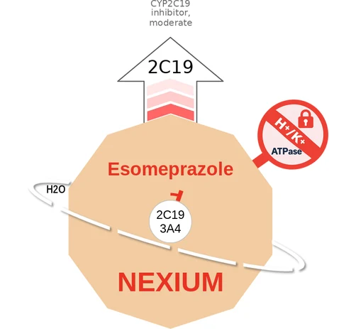 Esomeprazole ballicule — decagon diagram of its receptor and enzyme targets
