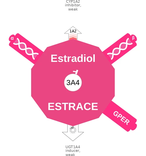Estradiol ballicule — decagon diagram of its receptor and enzyme targets
