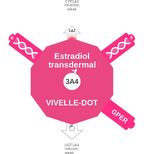 Estradiol transdermal ballicule — decagon diagram of its receptor and enzyme targets
