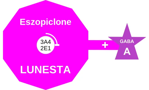 Eszopiclone ballicule — decagon diagram of its receptor and enzyme targets