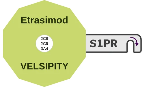 Etrasimod ballicule — decagon diagram of its receptor and enzyme targets