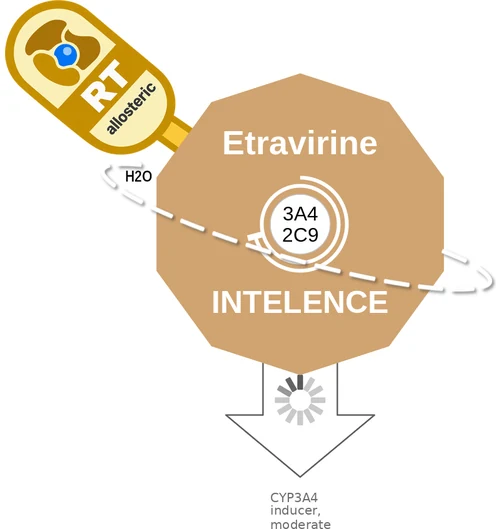 Etravirine ballicule — decagon diagram of its receptor and enzyme targets