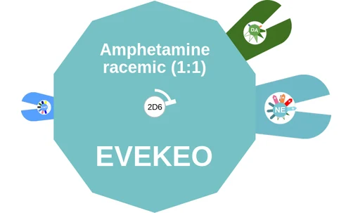 Amphetamine racemic (1:1) ballicule — decagon diagram of its receptor and enzyme targets