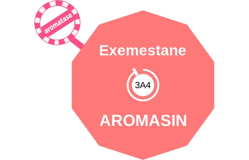 Exemestane ballicule — decagon diagram of its receptor and enzyme targets