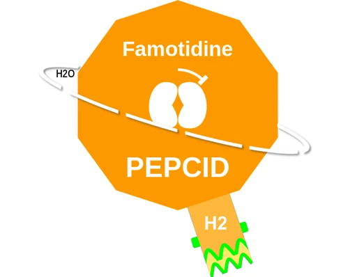 Famotidine ballicule — decagon diagram of its receptor and enzyme targets
