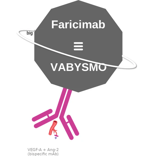 Faricimab ballicule — decagon diagram of its receptor and enzyme targets