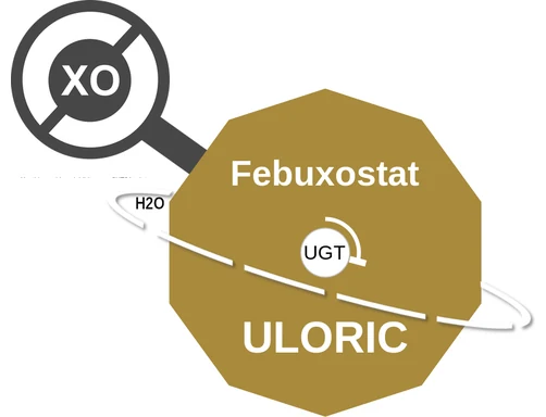 Febuxostat ballicule — decagon diagram of its receptor and enzyme targets