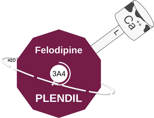 Felodipine ballicule — decagon diagram of its receptor and enzyme targets