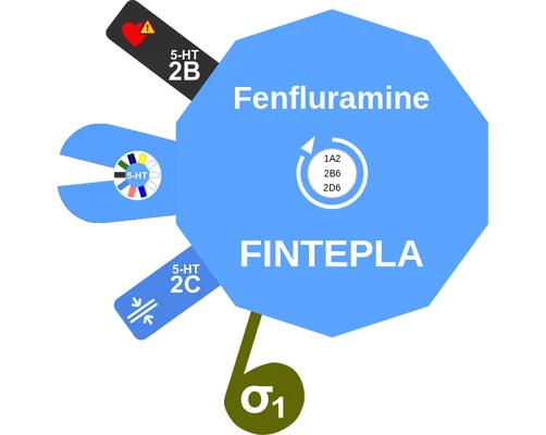 Fenfluramine ballicule — decagon diagram of its receptor and enzyme targets