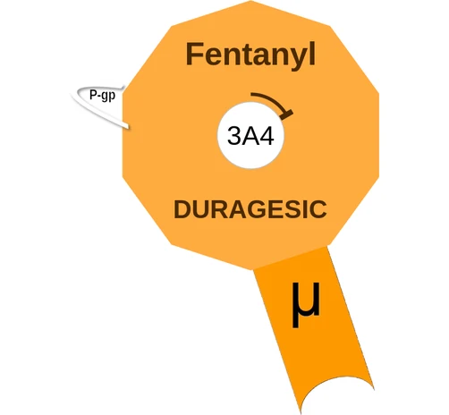 Fentanyl ballicule — decagon diagram of its receptor and enzyme targets