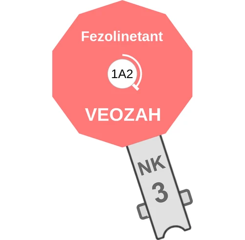 Fezolinetant ballicule — decagon diagram of its receptor and enzyme targets