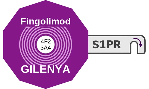 Fingolimod ballicule — decagon diagram of its receptor and enzyme targets