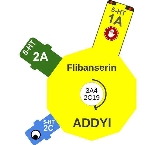 Flibanserin ballicule — decagon diagram of its receptor and enzyme targets