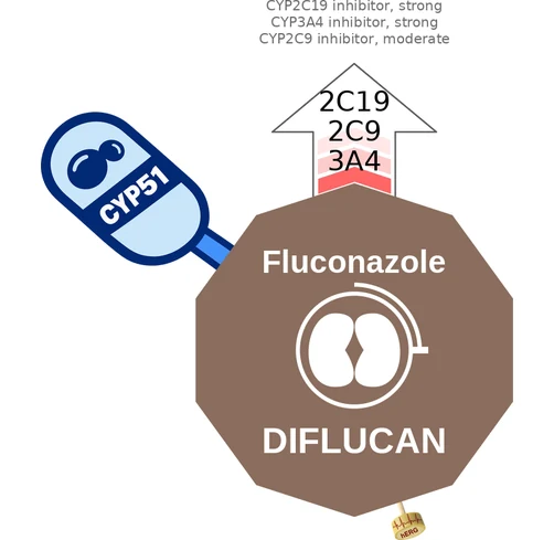 Fluconazole ballicule — decagon diagram of its receptor and enzyme targets