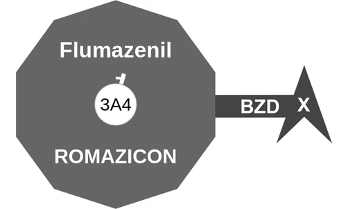 Flumazenil ballicule — decagon diagram of its receptor and enzyme targets