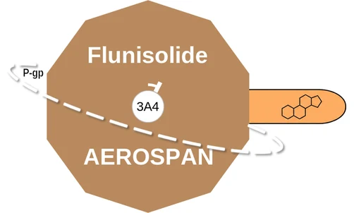 Flunisolide ballicule — decagon diagram of its receptor and enzyme targets