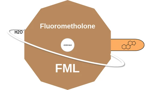Fluorometholone ballicule — decagon diagram of its receptor and enzyme targets