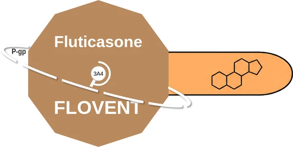 Fluticasone ballicule — decagon diagram of its receptor and enzyme targets