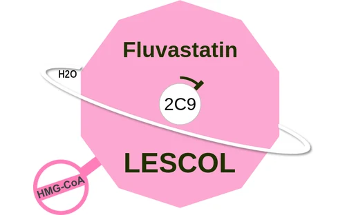Fluvastatin ballicule — decagon diagram of its receptor and enzyme targets