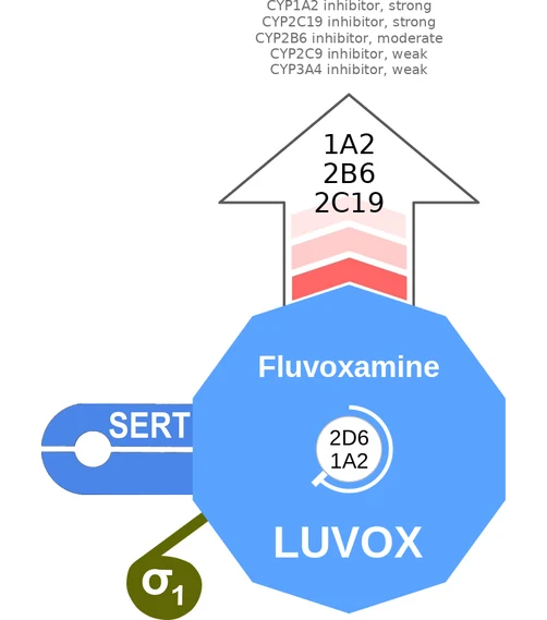 Fluvoxamine ballicule — decagon diagram of its receptor and enzyme targets